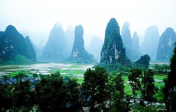 邻居的需求